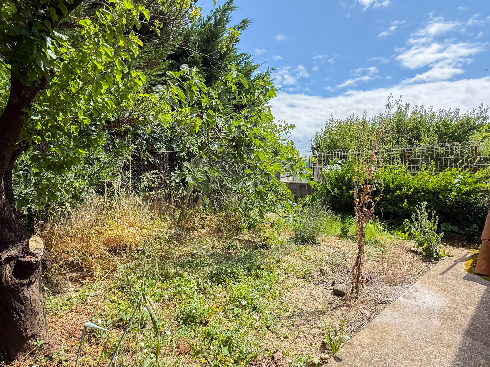 Image_, Maison, Le Pouzin, ref :VMA250002771